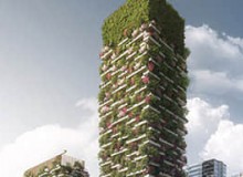 垂直綠化成活率為什么不高？