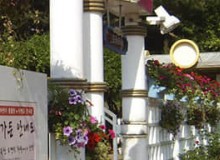 公園立體綠化有哪些形式？