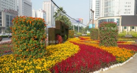 南寧中盟商務(wù)與投資峰會廣場景觀提升