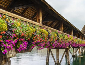 憑欄小憩醉好景，護欄綠化為城市之美錦上添花