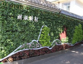 邯鄲首個“墻上花園”亮相，不但好看，還能降噪、除塵！
