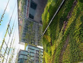 垂直綠化為奢華商業(yè)住宅背書