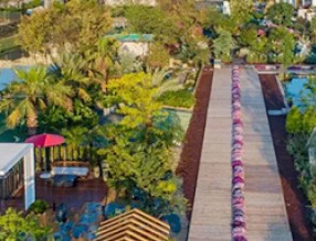 芳菲四月，擁抱花園經濟的春天