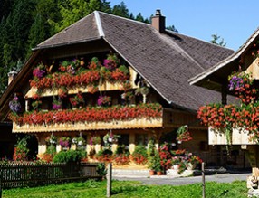 立體綠化應用｜鄉村民宿景觀提升解決方案