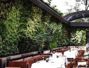 植物墻讓Nopa餐廳更加生動