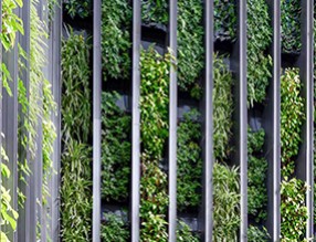 干貨：立體綠化在綠色建筑星級評價中的作用