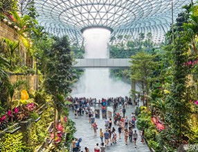 打造生態化公共空間，助力人文機場建設