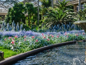 生態餐廳景觀提升解決方案