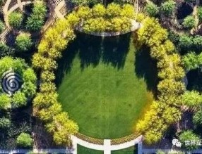 科學綠化增添城市生態魅力