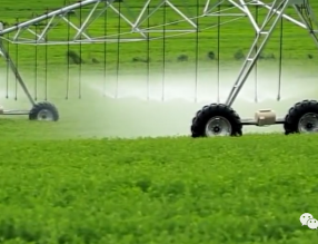 用「智慧」為城鄉景觀提質增效