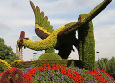 廣場景觀提升解決方案