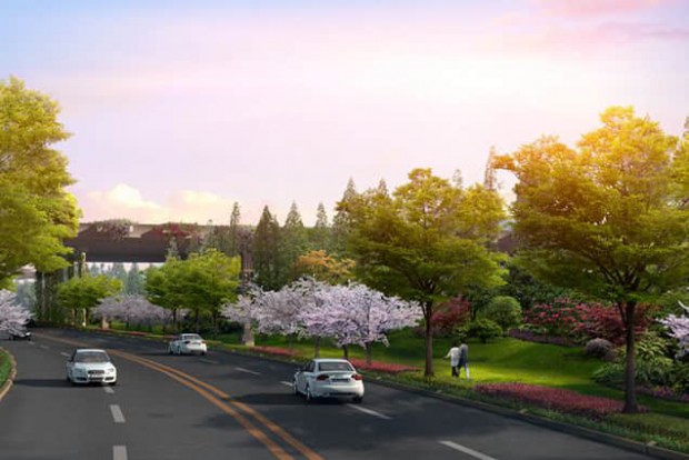 植被設(shè)計效果圖