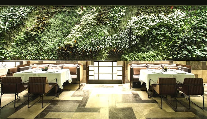 伊斯坦布爾Nopa定制餐廳 (1).jpg