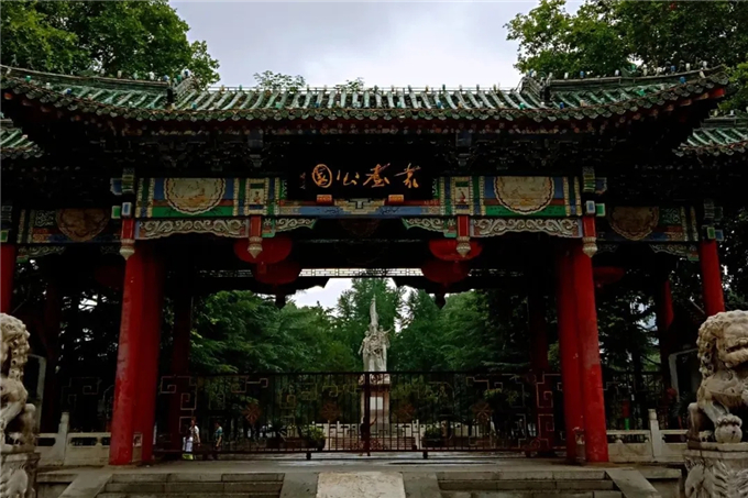 邯鄲首個“墻上花園”亮相，不但好看，還能降噪、除塵！ (1).jpg