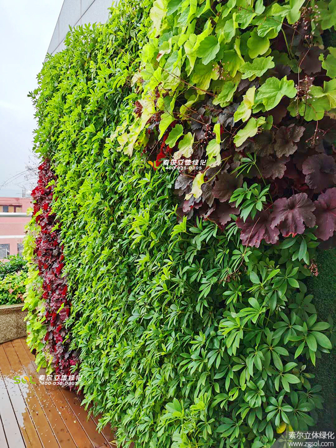 23 2019年7月浙江金華巨宏工貿(mào)辦公大樓屋頂花園項目 (3).jpg