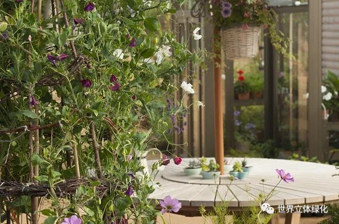 33格拉斯哥伊麗莎白女王大學醫(yī)院伊麗莎白女王國家脊柱傷害科花園 (4).jpg