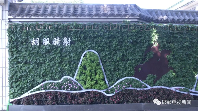 邯鄲電視新聞：我市首例“墻上花園”亮相叢臺公園 (4).jpg