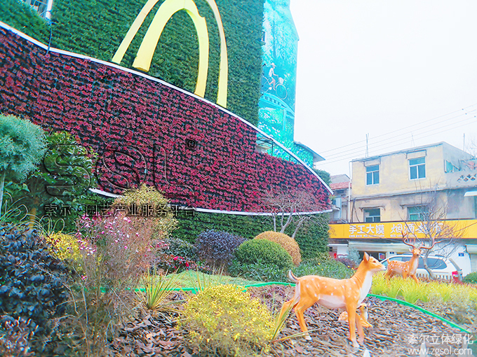 01 2021年1月安徽宿州立體綠化項目 (10).jpg