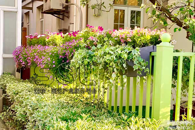 19上海別墅護欄綠化 (5).jpg