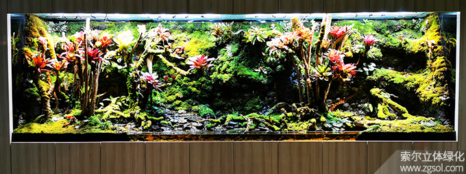 17新加坡樟宜機場03 (2).jpg