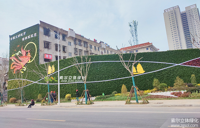 44 2021年1月安徽宿州老舊小區景觀提升立體綠化項目-地點老二中廣場文苑巷西側 (12).jpg