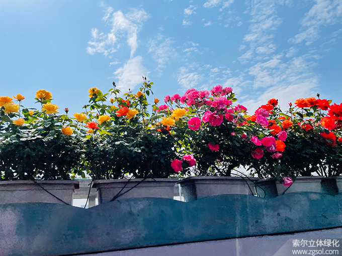 04杭州高架2021年 (1).jpg