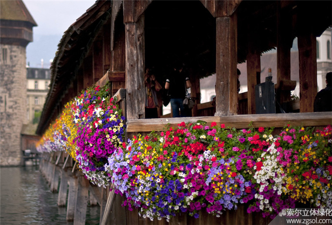 01瑞士盧塞恩小鎮護欄綠化 (12).jpg