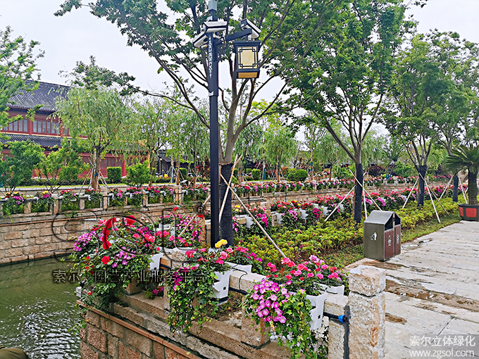 30江蘇東臺西溪古鎮景區五一景觀提升 (54)河岸護欄綠化.jpg